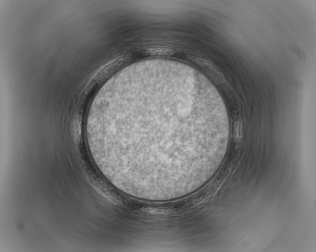 X0000114430733200911131331