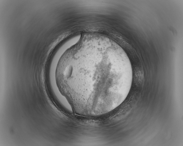 X0000114430734200911131331