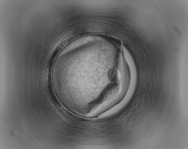 X0000114430735200911131331