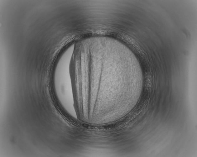 X0000114430738200911131331