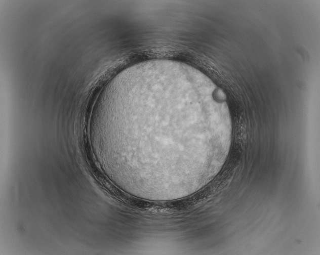 X0000114430742200911131331