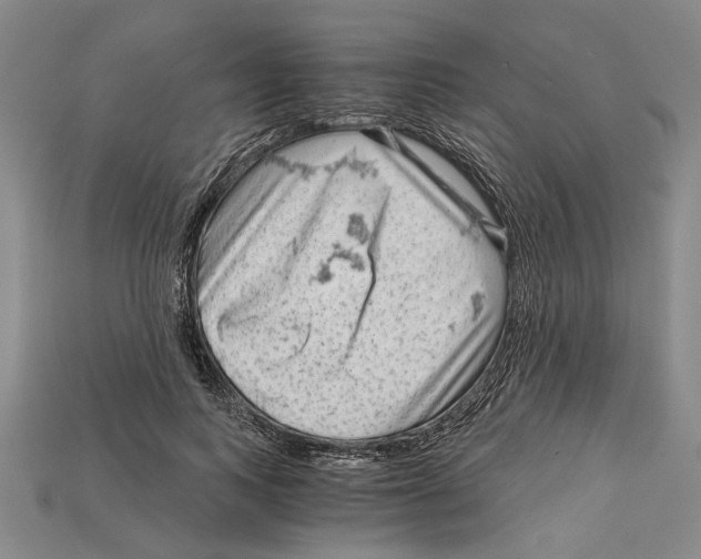 X0000114430743200911131331