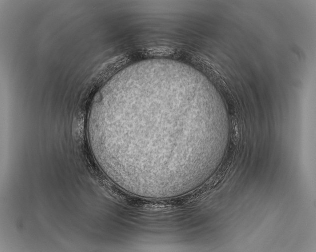 X0000114430745200911131331