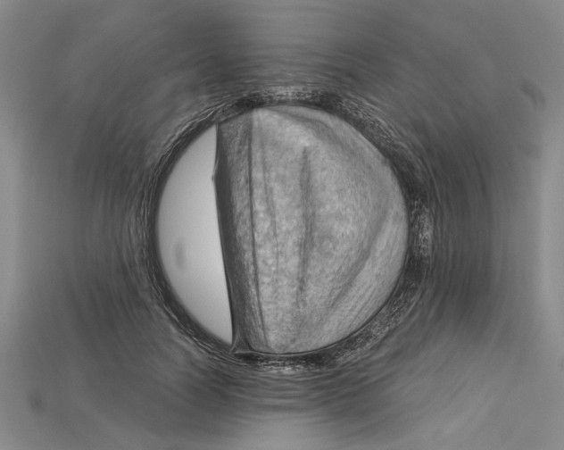 X0000114430746200911131331