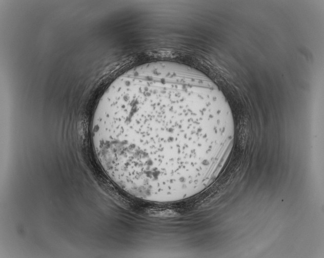X0000114430747200911131331