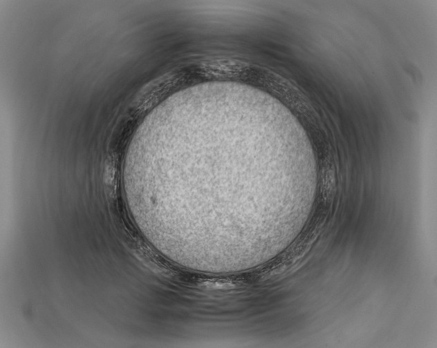 X0000114430749200911131331