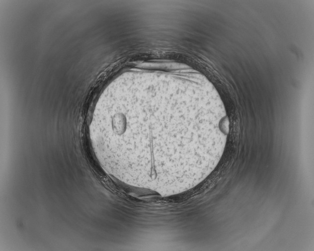 X0000114430750200911131331