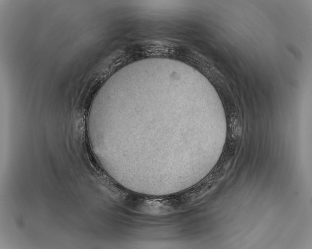 X0000114430753200911131331