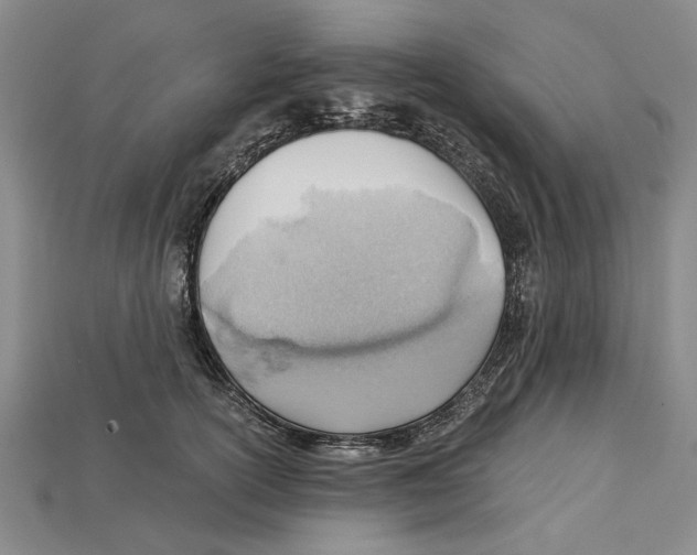 X0000114430754200911131331