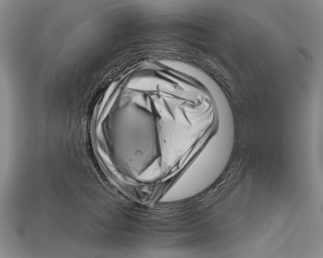 X0000114430757200911131331