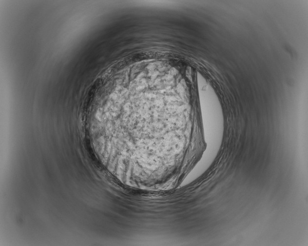 X0000114430759200911131331