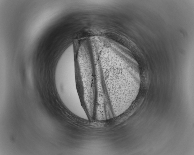 X0000114430762200911131331