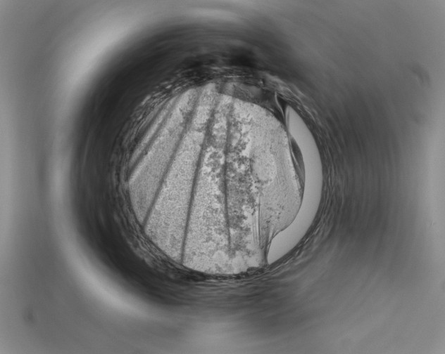 X0000114430763200911131331