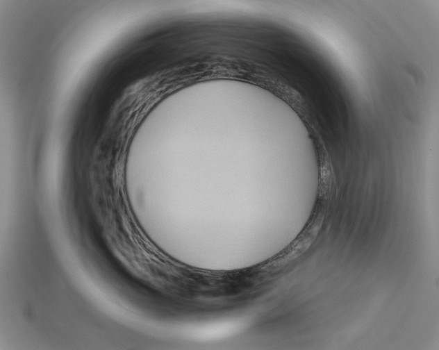 X0000114430765200911131331