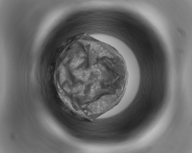 X0000114430766200911131331