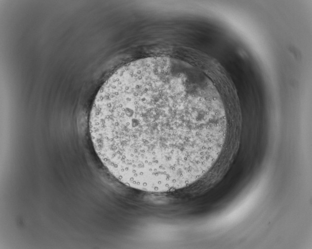 X0000114430767200911131331