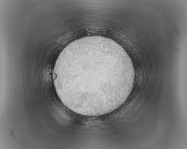 X0000114430770200911131331