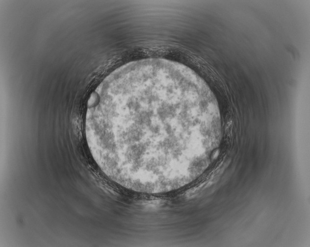 X0000114430772200911131331