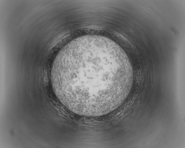 X0000114430774200911131331