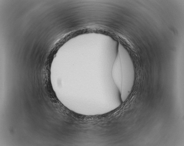 X0000114430776200911131331