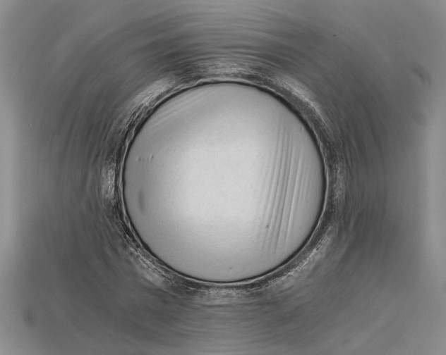 X0000114430777200911131331