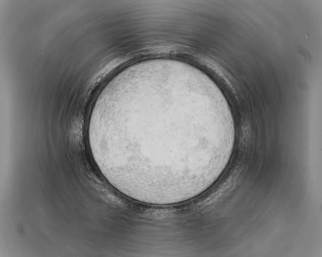 X0000114430778200911131331