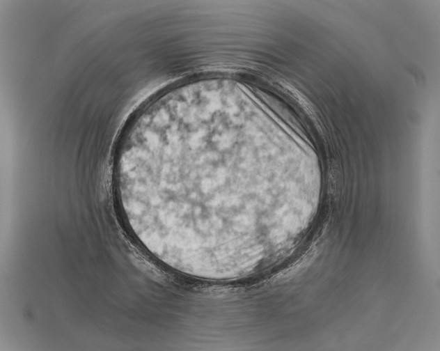 X0000114430779200911131331