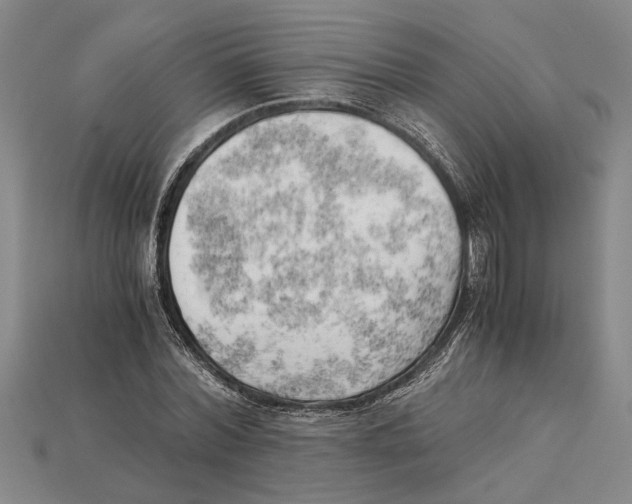 X0000114430780200911131331