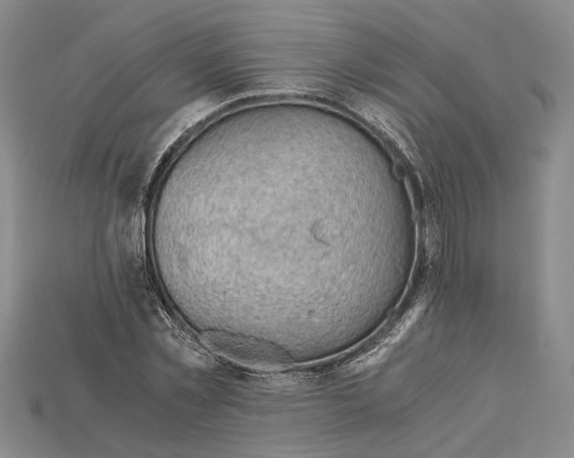 X0000114430781200911131331