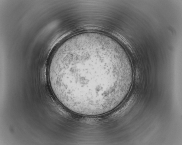 X0000114430782200911131331