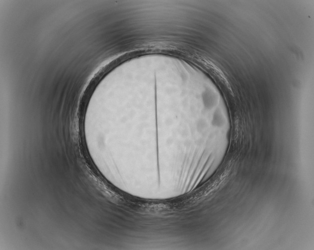 X0000114430784200911131331