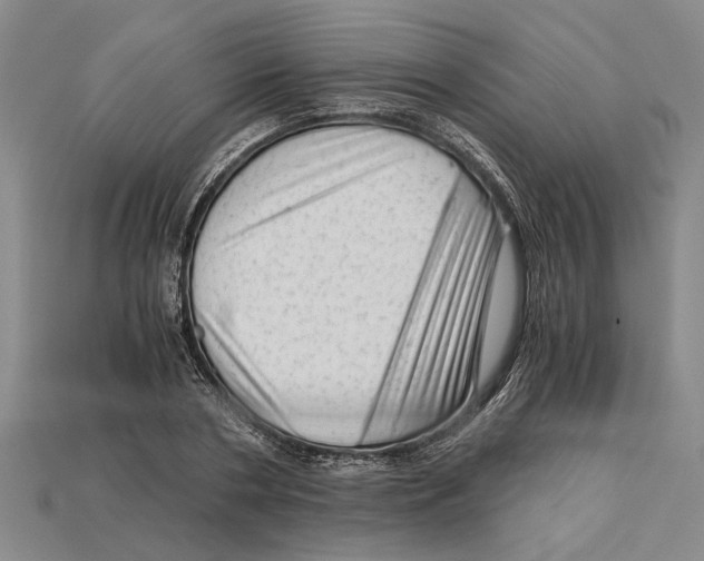 X0000114430786200911131331