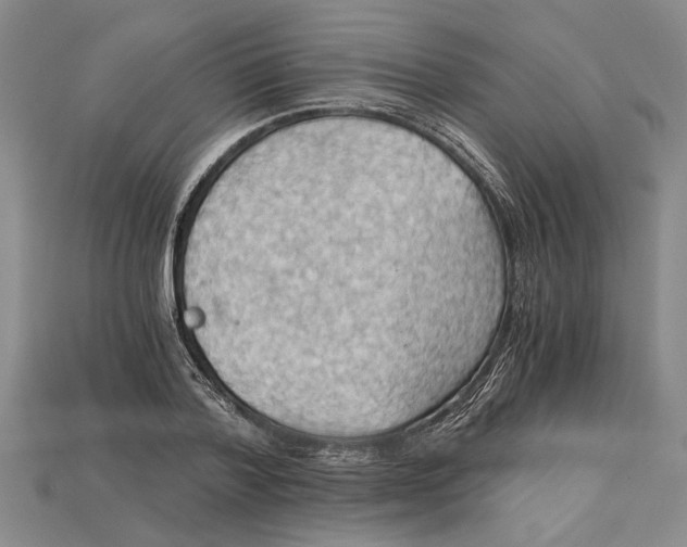 X0000114430788200911131330