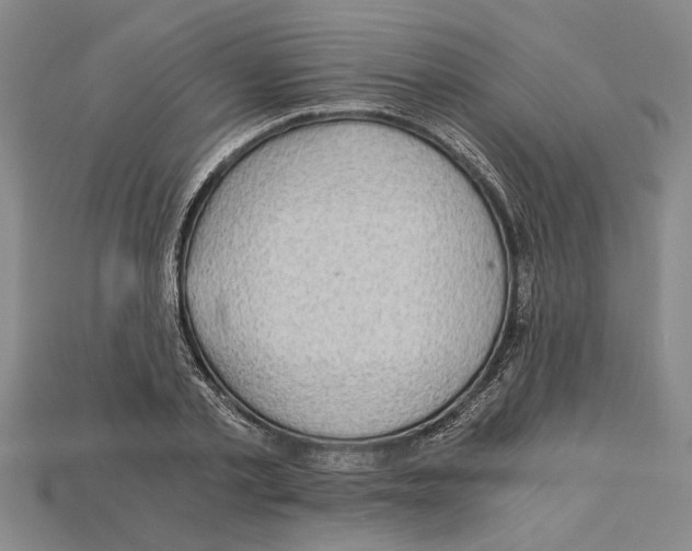 X0000114430789200911131330