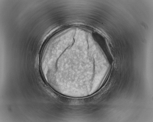 X0000114430790200911131330