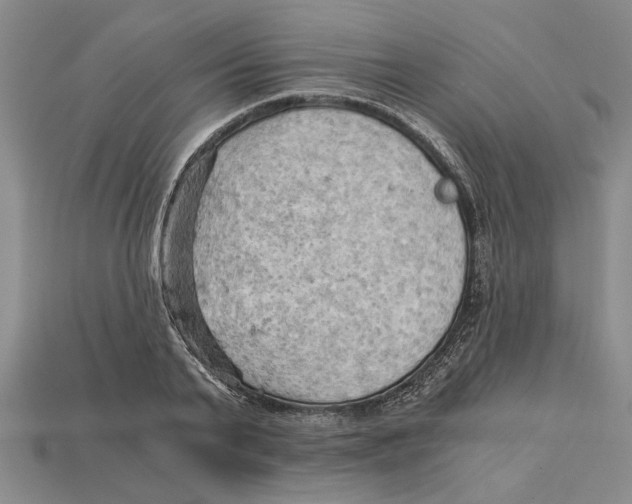 X0000114430791200911131330