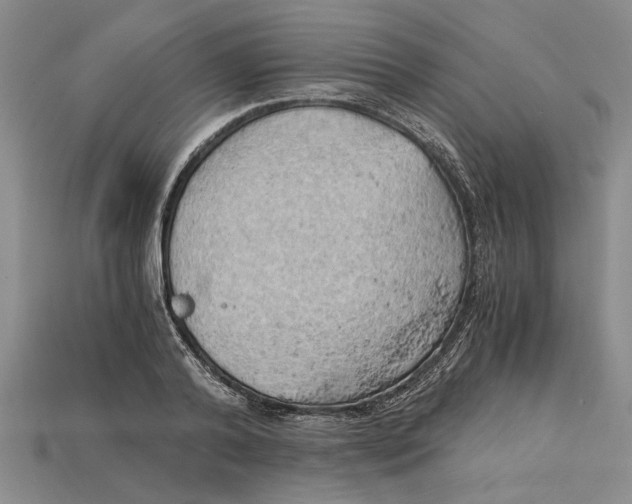 X0000114430792200911131330