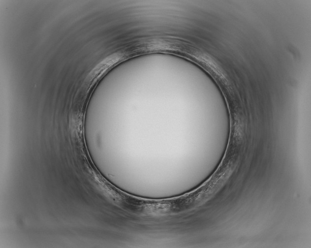 X0000114430793200911131330