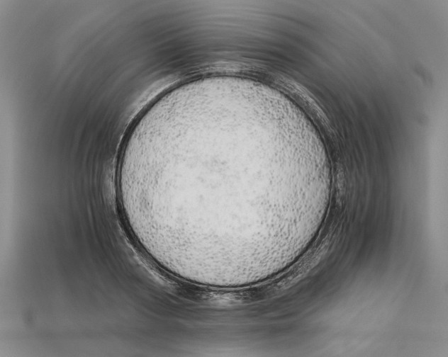 X0000114430794200911131330