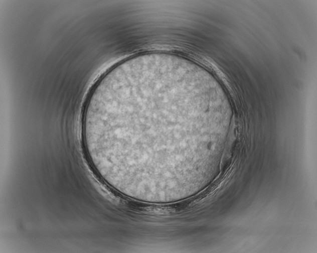 X0000114430795200911131330