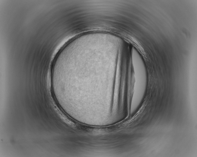 X0000114430796200911131330