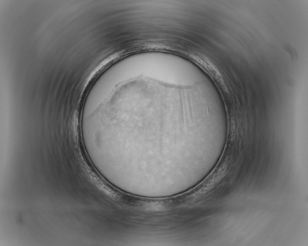 X0000114430798200911131330