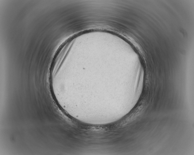 X0000114430799200911131330