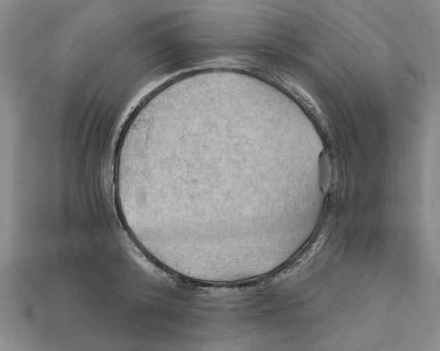 X0000114430800200911131330