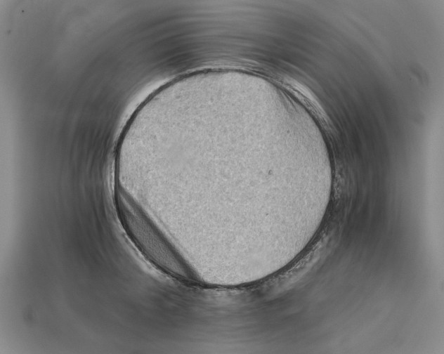 X0000114430804200911131330