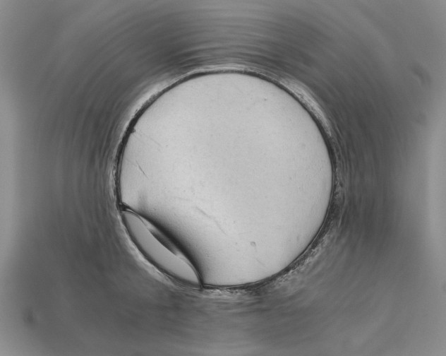 X0000114430805200911131330