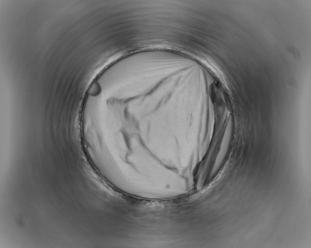 X0000114430806200911131330