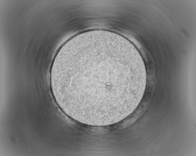 X0000114430807200911131330