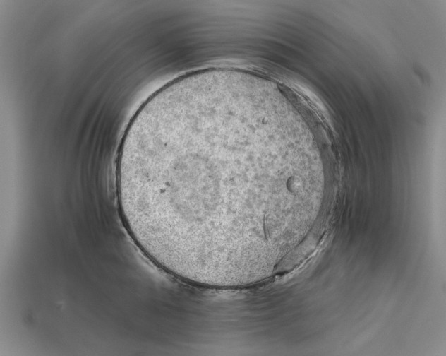 X0000114430808200911131330