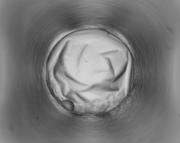 X0000114430811200911131330